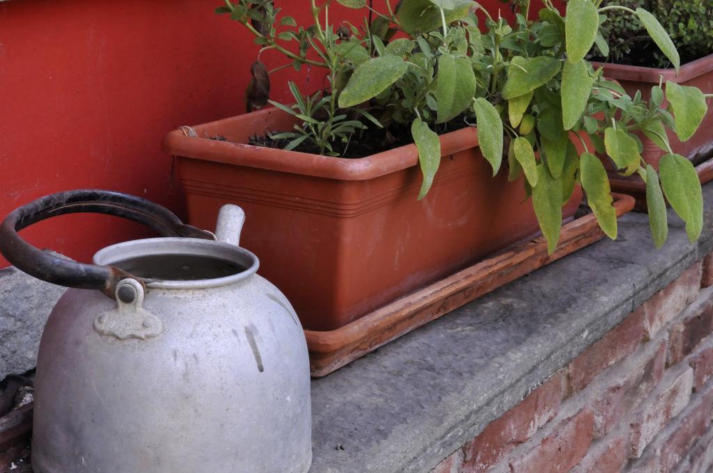 B&B Edera Castagnole Piemonte Exteriör bild