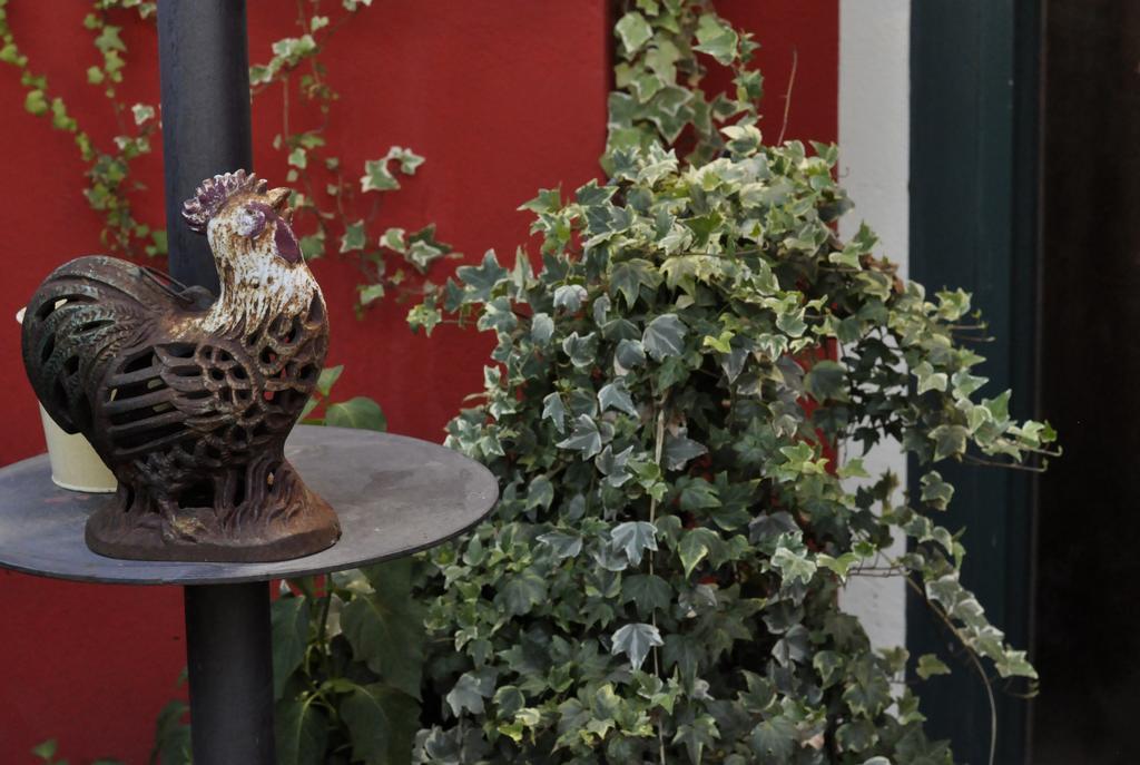 B&B Edera Castagnole Piemonte Exteriör bild